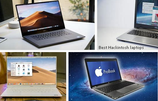 Read more about the article Top Best Hackintosh Laptop 2023